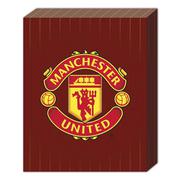Manchester United Canvas 20 X 16