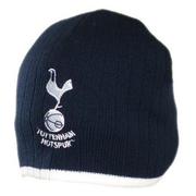 tottenham-hotspur-mossa-vitkant-1