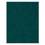  Championship 4066 Invitational Teflon Basic Green 8