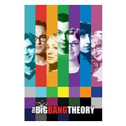 big-bang-theory-affisch-signals-1