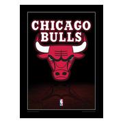 Chicago Bulls Inramad Bild Logo