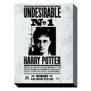 Harry Potter Canvastryck Undesirable No.1