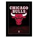 Chicago Bulls Inramad Bild Logo