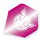 Core Pink Pig