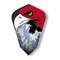 Fantail Eagle