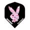 Playboy Sparkly Pi