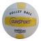 Volleyboll