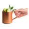 Mugg Koppar Moscow Mule