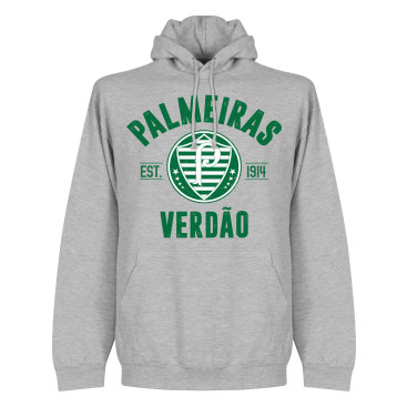 Palmeiras Huvtröja Established Grå