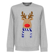 reindeer-blue-whit-traoja-reindeer-blue-white-supporter-sweatshirt-barn-graa-1