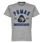 pumas-t-shirt-established-barn-graa-1