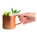 Mugg Koppar Moscow Mule 37