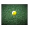 Duroturf Extra Large