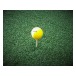 Duroturf Extra Large