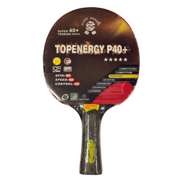 Bordtennisracketar Giant Dragon Topenergy P40 Plus