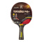 Topenergy P40 Plus