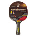 Topenergy P40 Plus