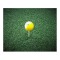 Duroturf Insert