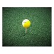Duroturf Insert