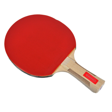 Bordtennisracketar Gamesson Gamesson Tai Chi