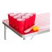 Beer Pong-bord