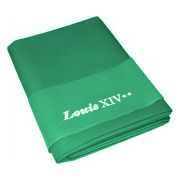 andy-louis-xiv-yellow-green-1