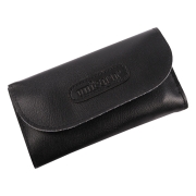 dartplanbok-maestro-world-champion-1