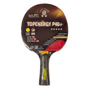 topenergy-p40-1